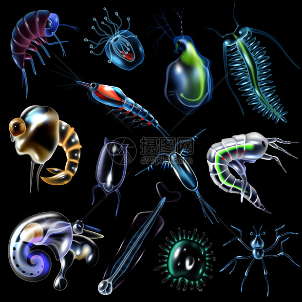 浮游生物彩色发光图标卡通风格的黑色背景孤立矢量插图图片