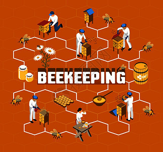 橙色背景矢量图上,蜂蜜生产过程中,农民穿着防护服的养蜂等距流程图图片