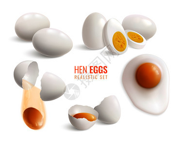 彩色孤立现实的鸡蛋图标与同的烹饪方法矢量插图图片