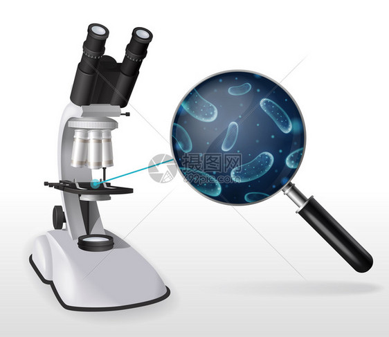 用微生物实验室设备双目璃矢量插图的手放大镜镜头的真实显微镜成图片