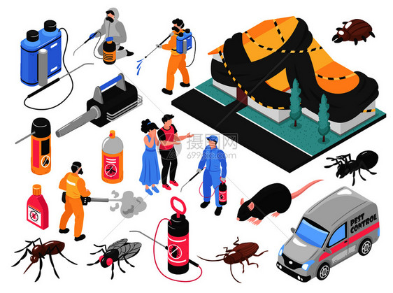 虫害控制服务队清除虫子,消灭老鼠,工具,设备,产品,客户,自动等距矢量插图图片