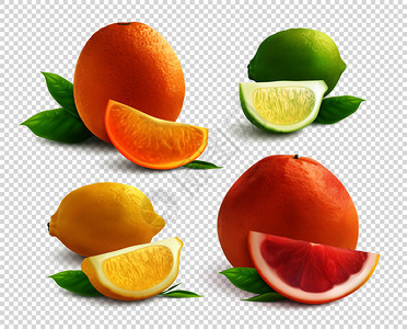 柑橘类水果真实莱姆橙柠檬葡萄柚分离透明背景矢量插图图片