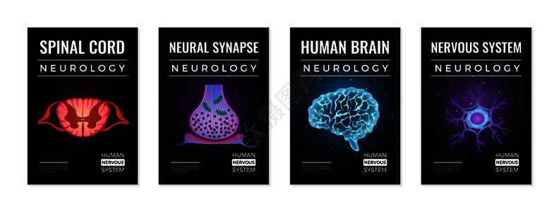 神经学横幅收集四个垂直成与可编辑的文本发光霓虹灯分子脑图像矢量插图图片