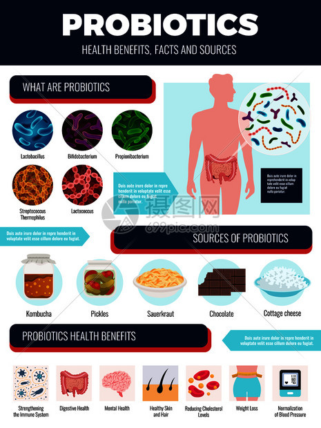 益生菌信息图集与来源好处符号平矢量插图图片