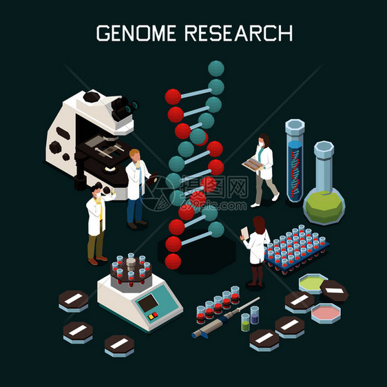 遗传学等距成与实验室设备科学家研究基因三维载体插图图片