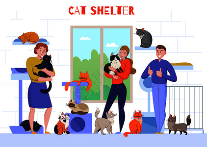 抱猫的人动物收容所猫成与室内的人的观点,人物抱着猫怀里与文本矢量插图插画