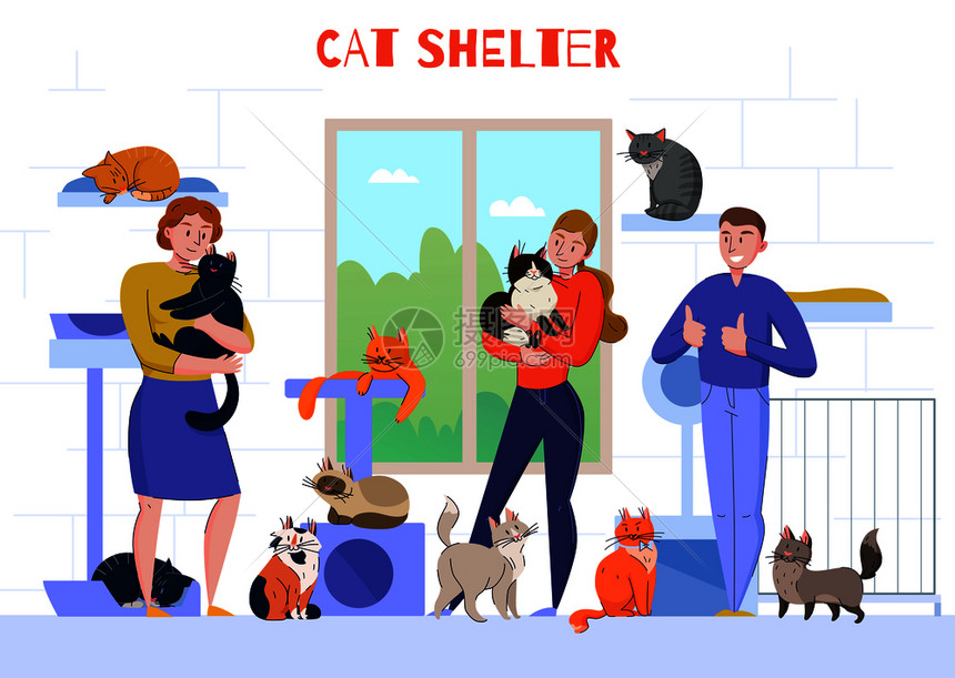 动物收容所猫成与室内的人的观点,人物抱着猫怀里与文本矢量插图图片