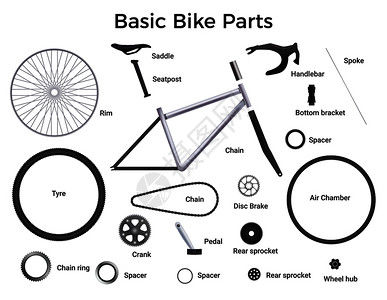 真实的自行车零件与自行车元素的孤立图像与文本标题的每个部分矢量插图图片
