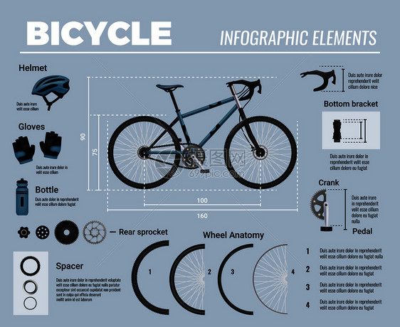 自行车零件信息与现实的图像MTB自行车与配件可编辑的文本提示标题矢量插图图片