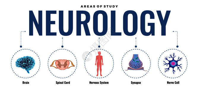 神经学成与可编辑的文本虚线圆形图像与人类神经系统矢量插图的元素图片