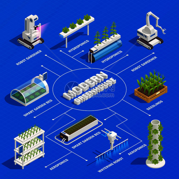 现代温室智能植物床机器人园丁水培气培系统发芽幼苗等距流程图矢量插图图片