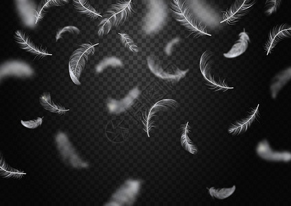 孤立现实的下降羽毛背景白色羽毛飞行透明的背景矢量插图图片