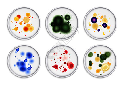 霉菌细菌菌落斑点真实与圆形图像的同霉菌生命形式彩色矢量插图背景图片