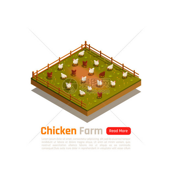 机自由范围生物家禽养殖场等距成与草饲鸡围栏牧场矢量插图图片