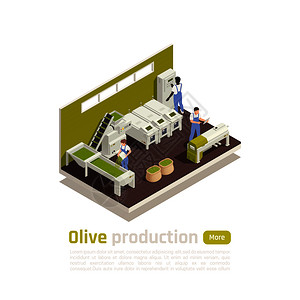 橄榄油制造过程等距成与自动收获的水果分类捏合线操作员矢量插图图片