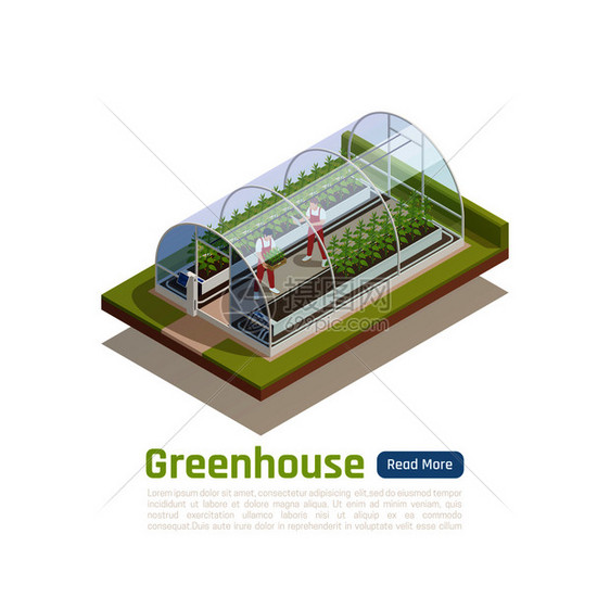 现代水培温室室外等距视图,2名工人种植幼苗,并控制气候条件矢量图图片