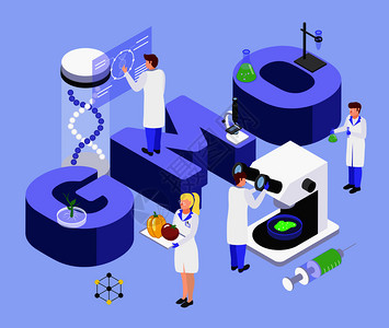 食品生物工程过程等距成与大基因字母DNA操纵实验室科学研究矢量插图图片
