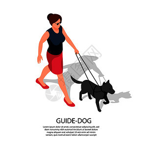 盲人妇女戴着太阳镜走路,带着经过专门训练的导盲犬,隔离等距构图,刻字矢量插图背景图片