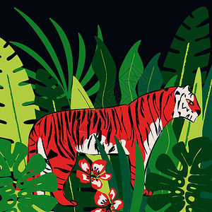 手绘红色老虎与异国热带树叶,平矢量插图图片