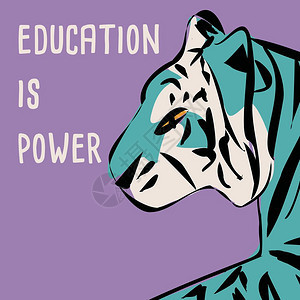 手绘老虎与女权主义短语信息,女孩权力女权主义,平矢量插图图片