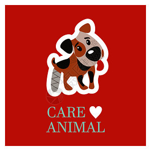 兽医护理照顾动物可爱的狗杰克罗素猎犬腿断了诊所的章贴纸的矢量插图兽医护理照顾动物诊所的章贴纸图片