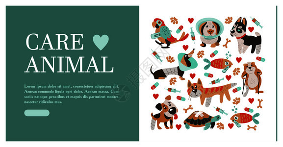 兽医护理照顾动物横幅与文字为兽医诊所套可爱的生病的动物兽医护理矢量插图,兽医诊所的横幅图片