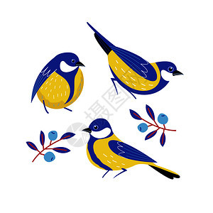 可爱的明信片,鸟,蓝莓花,浆果树叶矢量插图可爱的鸟,浆果,花树枝矢量插图图片
