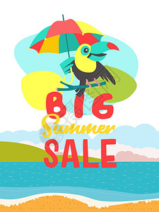 夏季销售鲜艳多彩的广告海报欢快的巨嘴鸟夏季大减价鲜艳多彩的广告海报欢快的巨嘴鸟坐树枝上,着把明亮的伞图片