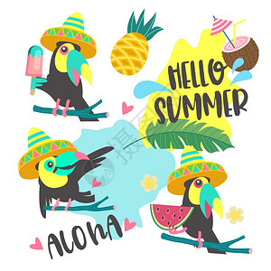 你好,夏天阿洛哈可爱趣的卡通巨嘴鸟热带天堂阿洛哈你好,夏天欢快的巨嘴鸟只戴着墨西哥帽子的巨嘴图片