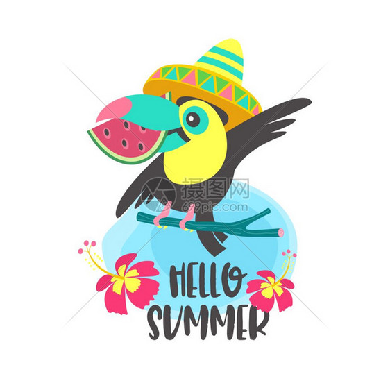 你好,夏天阿洛哈可爱趣的卡通巨嘴鸟热带天堂你好,夏天只戴着墨西哥帽子的五颜六色的巨嘴鸟坐树枝上,嘴里衔图片