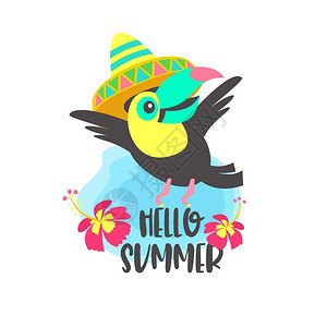 你好,夏天阿洛哈可爱趣的卡通巨嘴鸟热带天堂你好,夏天彩色矢量插图穿着墨西哥帽子的欢快明亮的巨嘴鸟图片