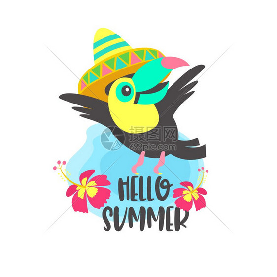 你好,夏天阿洛哈可爱趣的卡通巨嘴鸟热带天堂你好,夏天彩色矢量插图穿着墨西哥帽子的欢快明亮的巨嘴鸟图片