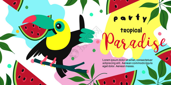 热带天堂派彩色矢量插图,邀请参加聚会热带风格的插图欢快的巨嘴鸟坐树枝上,着块西瓜图片