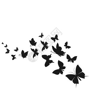 飞舞的蝴蝶群矢量插图图片