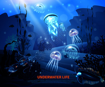 海洋雾水下世界海洋生物海报与透明彩色水母,珊瑚礁,阳光,雾蓝色背景