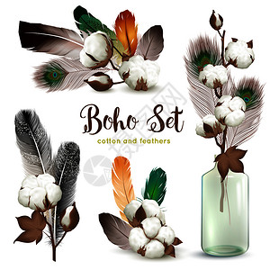 波霍风格的装饰与成熟棉花植物螺栓彩色羽毛璃瓶现实构图收集矢量插图棉铃羽毛Boho图片