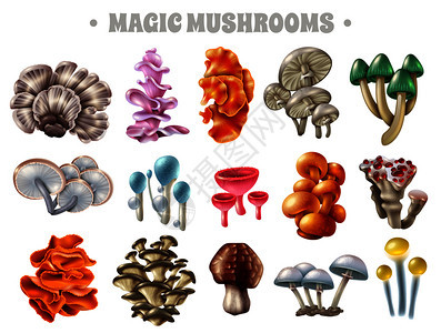 同形状颜色的魔法蘑菇,带气泡红色液滴,分离矢量插图魔法蘑菇套装图片