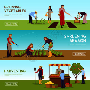 套水平横幅与人们种植蔬菜,园艺季节,收获,销售作物矢量插图园艺季节水平横幅图片