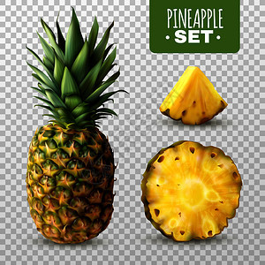 新鲜成熟菠萝切片隔离透明背景现实矢量插图现实的菠萝套装图片