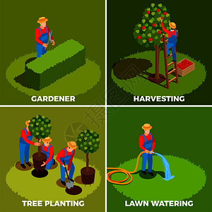 园丁等距人2x2与人的特点帽子皮纳福尔斯与园艺工具矢量插图果园管理理念图片