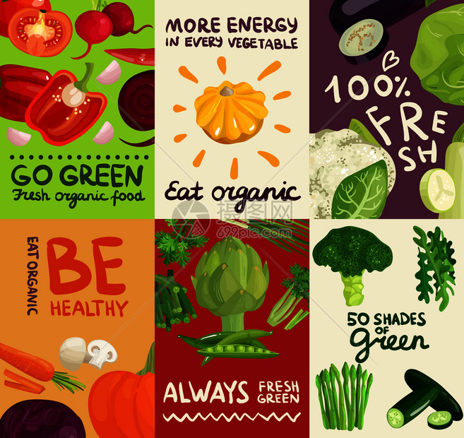 套海报横幅与蔬菜,草药印刷字体彩色背景上矢量插图蔬菜海报横幅图片