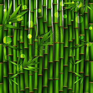 东方无缝绿色图案由轻的热带竹笋叶子构成的逼真矢量插图竹子东方无缝图案图片