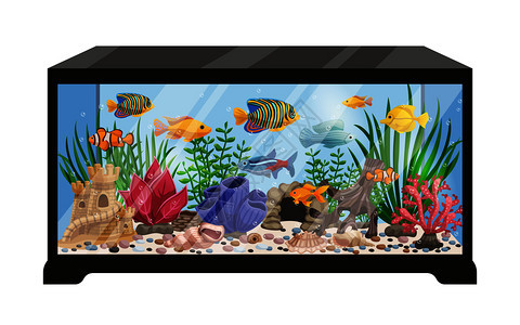 水族馆用五颜六色的鱼蟹水生植物平矢量插图插画图片下载 正版图片 摄图网