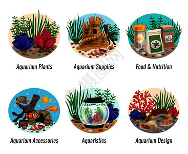 套水族馆的成与五颜六色的植物,鱼类,食物,贝壳洞穴,元素矢量插图水族馆作文集图片