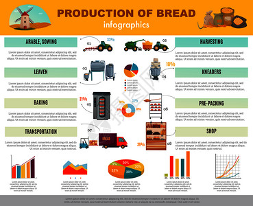 包生产信息图表与关谷物播种,收获,烘焙,运输商店矢量插图的信息图表包生产信息图表图片
