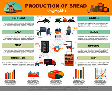 包生产信息图表与关谷物播种,收获,烘焙,运输商店矢量插图的信息图表包生产信息图表图片