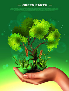 生态学绿色模糊背景下与树木,植物地上的现实女手矢图现实的手工植物生态插图图片