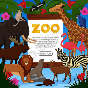 动物园海报与卡通收集外来野生动物居民热带丛林草原苔原平矢量插图动物园卡通海报图片