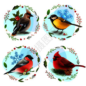 与冬季鸟类,雪花,云杉枝,装饰框架浆果叶子矢量插图冬季鸟类理念图片