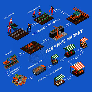 农场当地市场等距流程图成与图像代表同阶段的蔬菜生产销售矢量插图农贸市场流程图图片